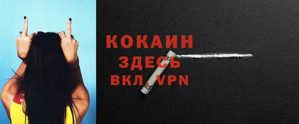 шишки Волосово