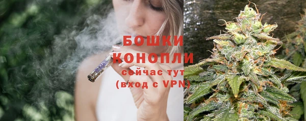 шишки Волосово