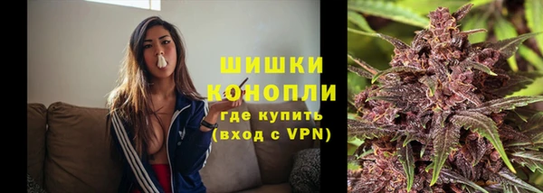 шишки Волосово