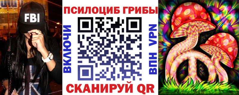 закладки Новотитаровская Галлюциногенные грибы прущие грибы